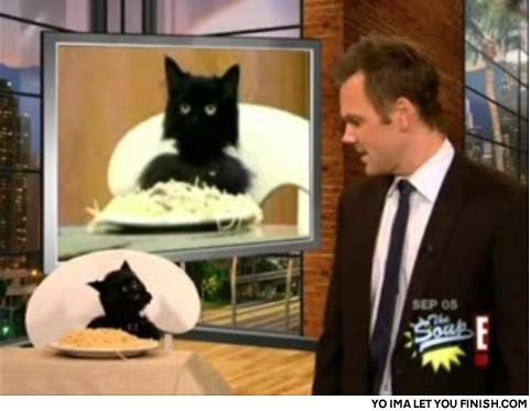 Catsoup