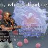18485 - Unmoderated Kanye West, VMA, Taylor Swift, Humor, Parody, Im'a let you finish, Kanye - 11