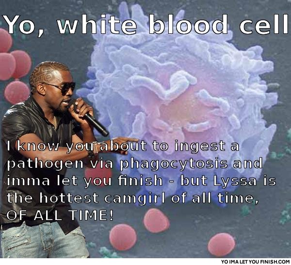 Yodawg