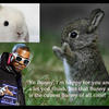 10249 - yo ima let you finish